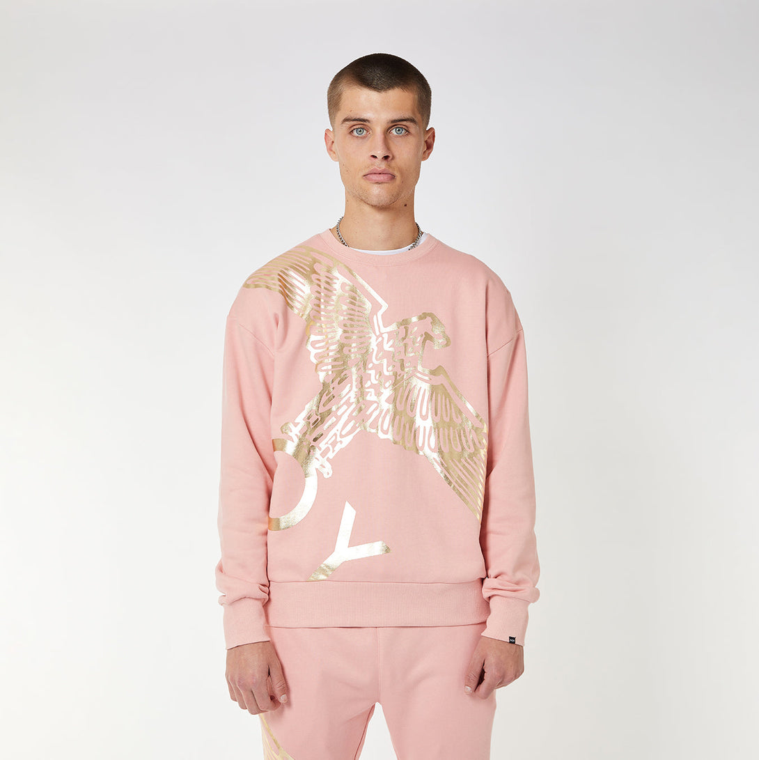 BOY WINGSPAN SWEATSHIRT - PINK/GOLD