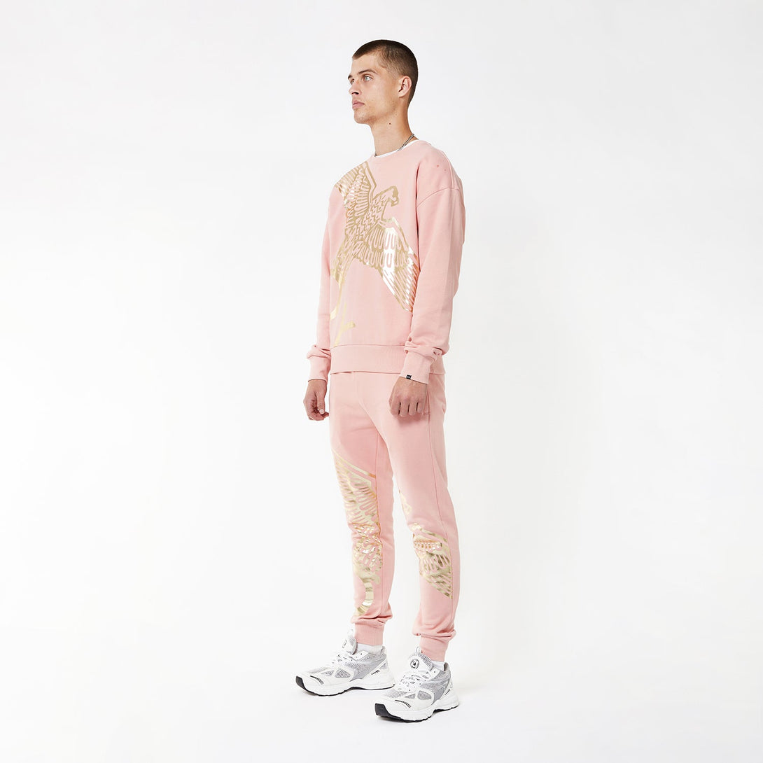 BOY WINGSPAN SWEATSHIRT - PINK/GOLD