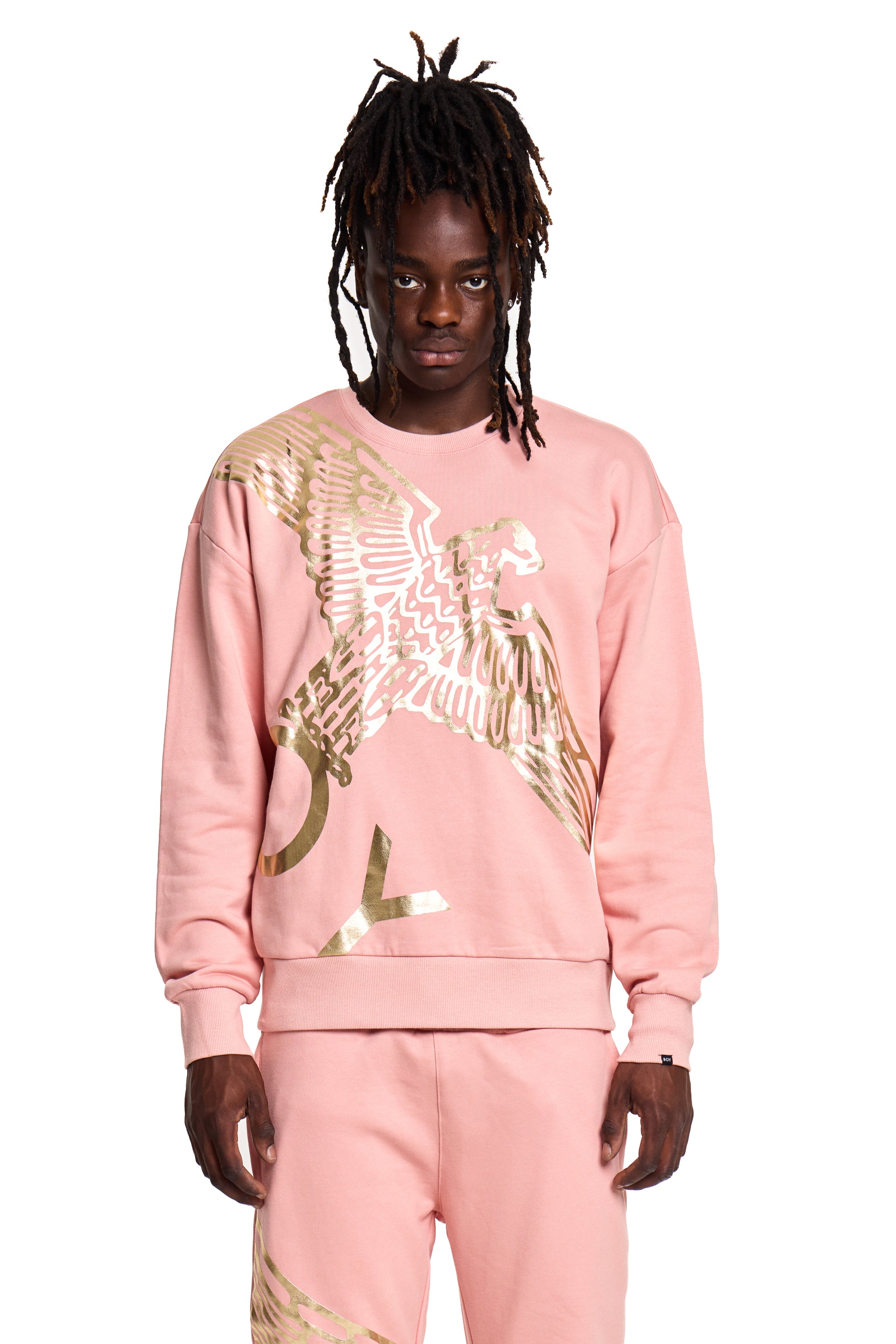 BOY WINGSPAN SWEATSHIRT