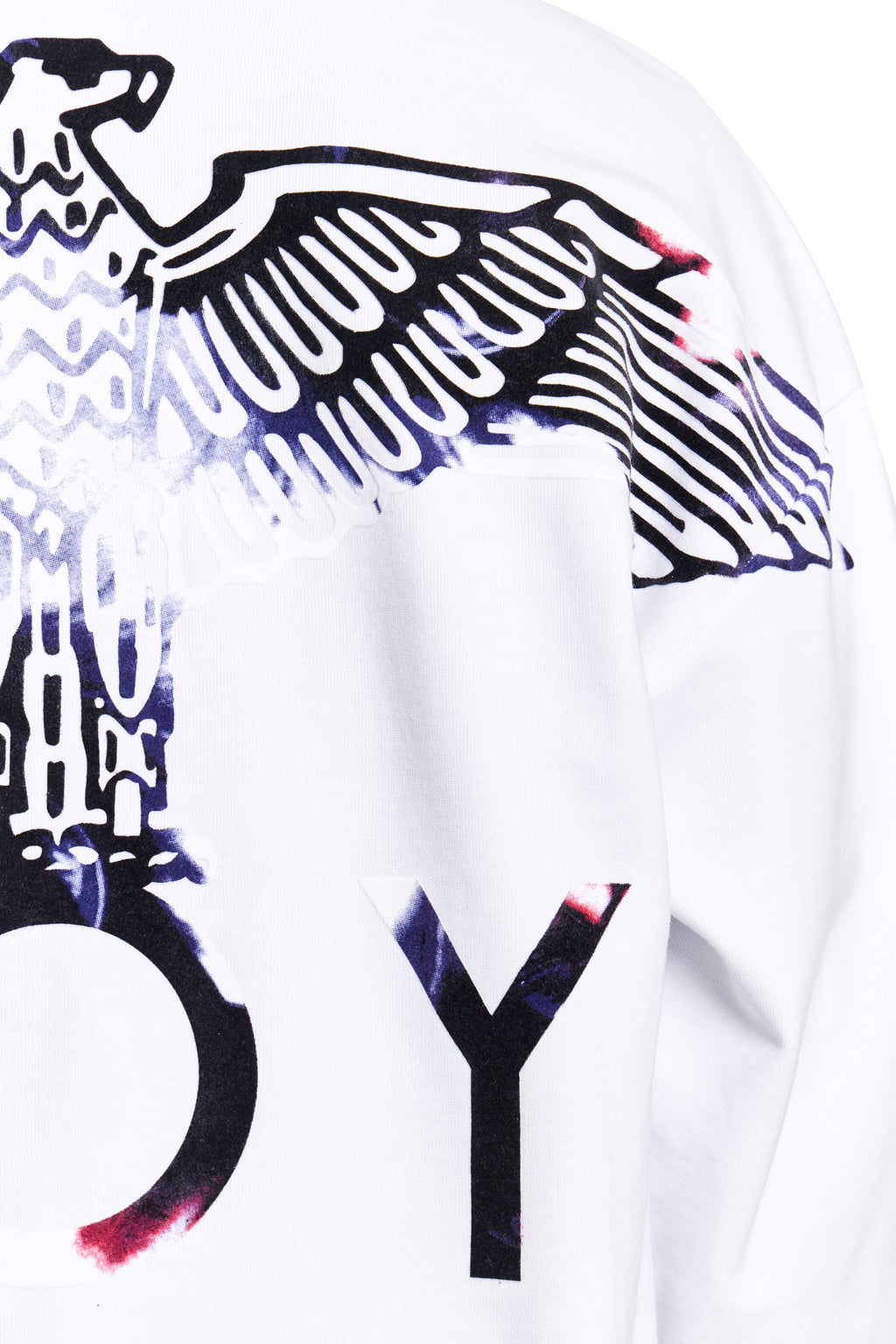 BOY EAGLE FLOCK SWEATSHIRT