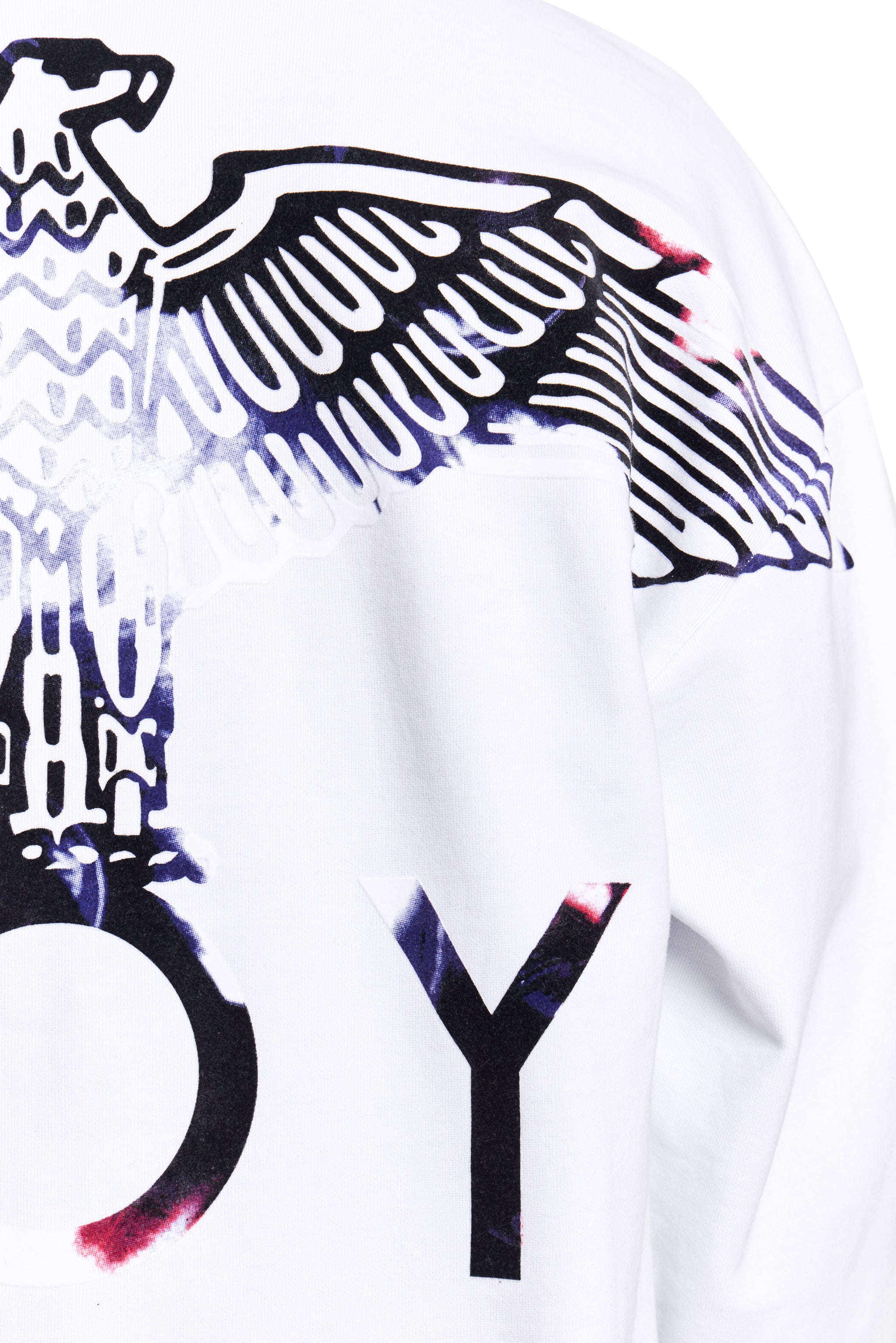 BOY EAGLE FLOCK SWEATSHIRT